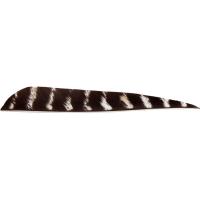 Feather RW Parabol 5 inch natural barred Bearpaw Bodnik