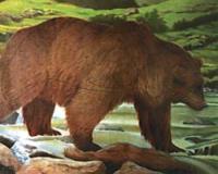 Tarcza z wizerunkiem zwierząt - niedźwiedź